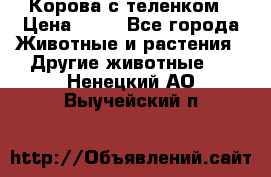 Корова с теленком › Цена ­ 69 - Все города Животные и растения » Другие животные   . Ненецкий АО,Выучейский п.